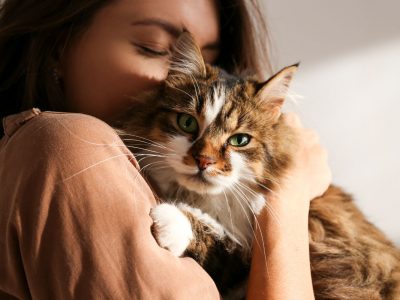 Portrait of young woman holding cute siberian cat with green eyes. Female hugging her cute long hair kitty. Background, copy space, close up. Adorable domestic pet concept.